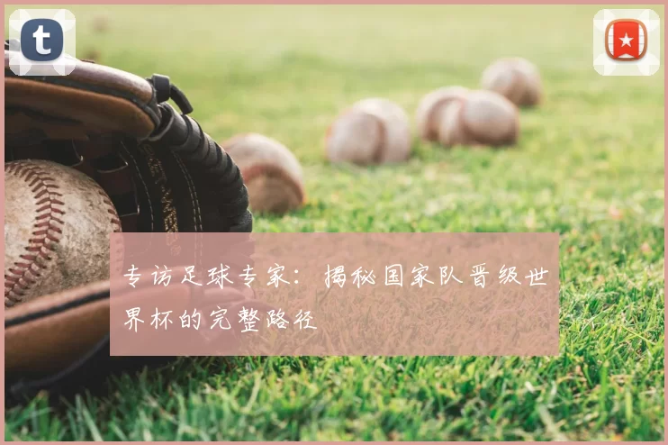 专访足球专家：揭秘国家队晋级世界杯的完整路径