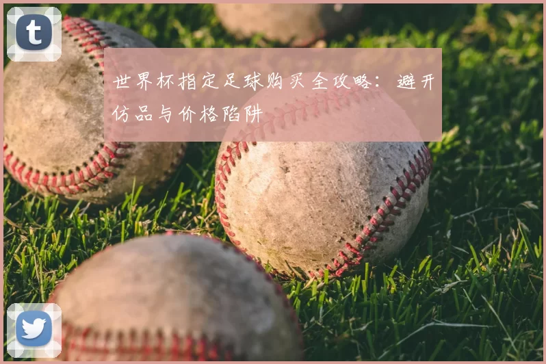 世界杯指定足球购买全攻略：避开仿品与价格陷阱