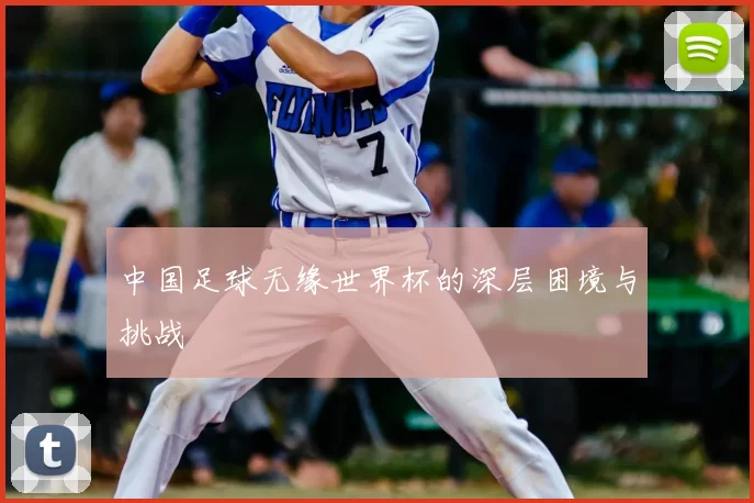 中国足球无缘世界杯的深层困境与挑战