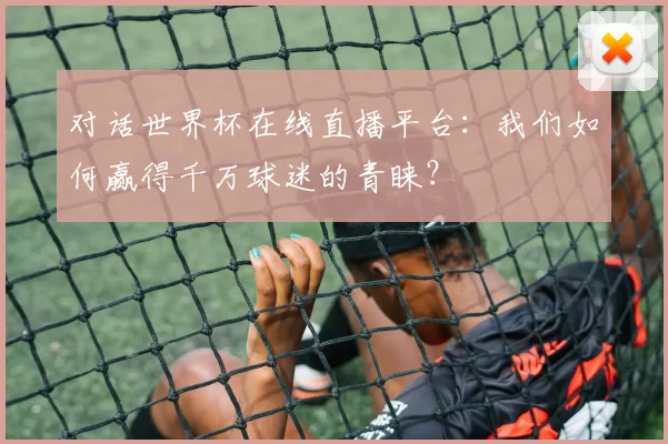 对话世界杯在线直播平台:我们如何赢得千万球迷的青睐?