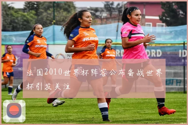 法国2010世界杯阵容公布备战世界杯引发关注