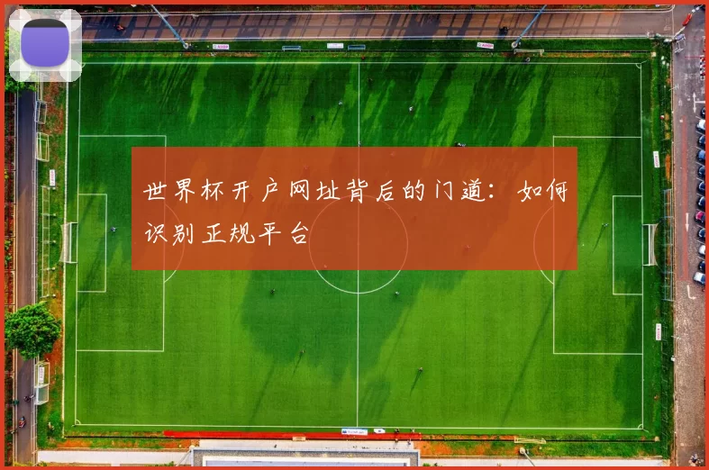 世界杯开户网址背后的门道:如何识别正规平台