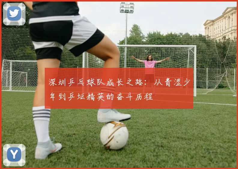 深圳乒乓球队成长之路:从青涩少年到乒坛精英的奋斗历程