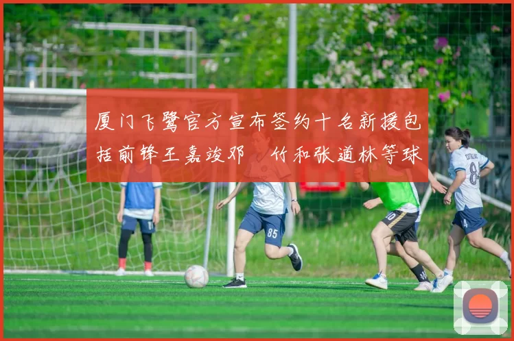 厦门飞鹭官方宣布签约十名新援包括前锋王嘉竣邓棽竹和张道林等球员
