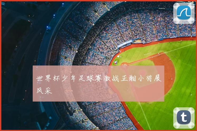 世界杯少年足球赛激战正酣小将展风采