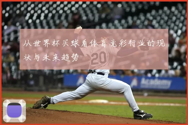 从世界杯买球看体育竞彩行业的现状与未来趋势