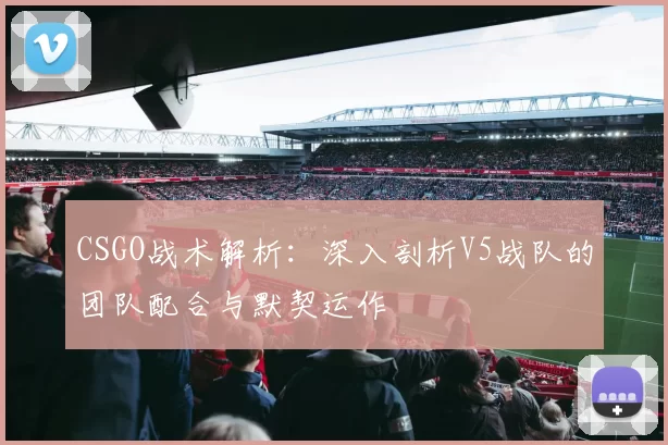 CSGO战术解析:深入剖析V5战队的团队配合与默契运作