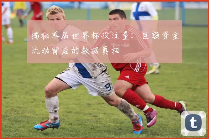 揭秘单届世界杯投注量：巨额资金流动背后的数据真相