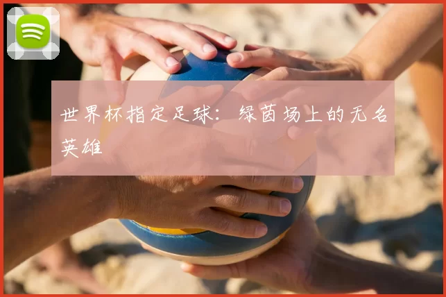 世界杯指定足球:绿茵场上的无名英雄