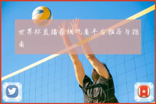 世界杯直播在线观看平台推荐与指南