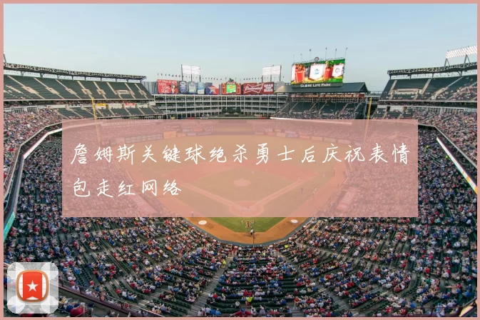 詹姆斯关键球绝杀勇士后庆祝表情包走红网络