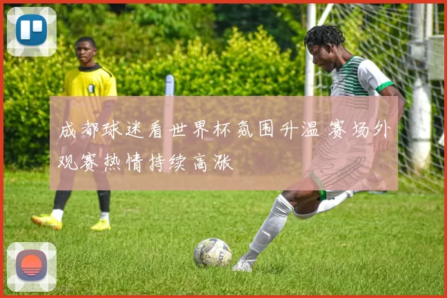 成都球迷看世界杯氛围升温 赛场外观赛热情持续高涨