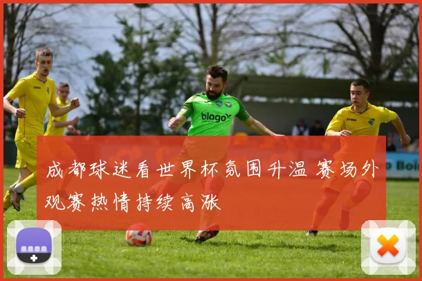成都球迷看世界杯氛围升温 赛场外观赛热情持续高涨