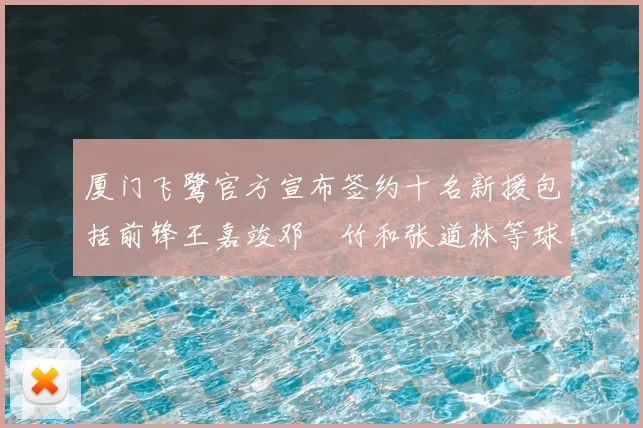 厦门飞鹭官方宣布签约十名新援包括前锋王嘉竣邓棽竹和张道林等球员