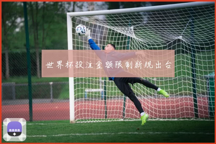 世界杯投注金额限制新规出台