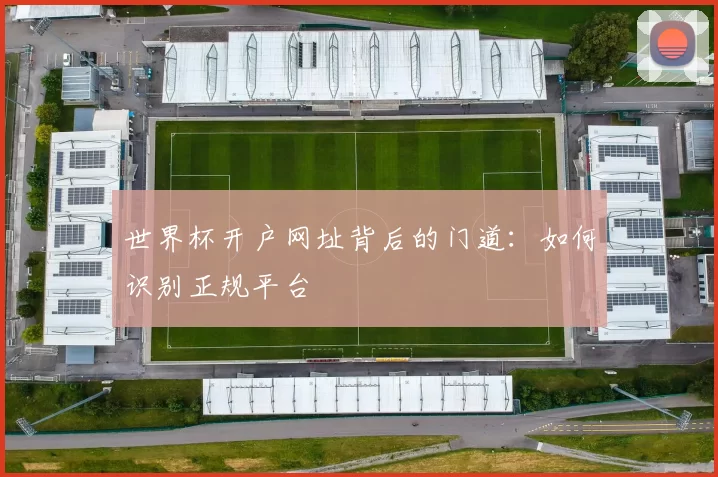 世界杯开户网址背后的门道:如何识别正规平台