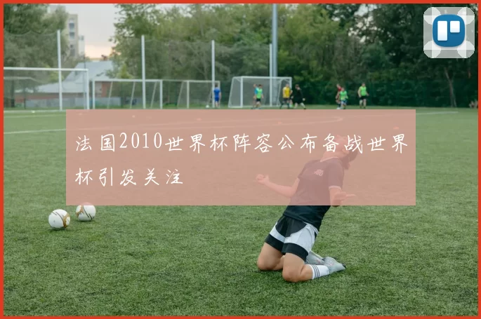 法国2010世界杯阵容公布备战世界杯引发关注