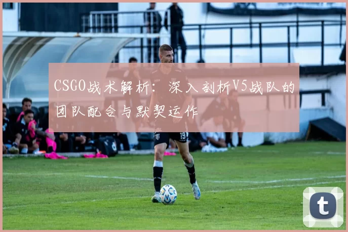 CSGO战术解析:深入剖析V5战队的团队配合与默契运作