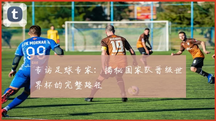 专访足球专家：揭秘国家队晋级世界杯的完整路径